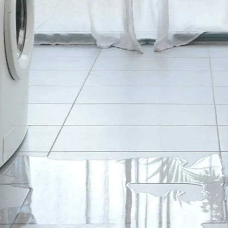 Appliance Leak Cleanup in Carroll County, NH