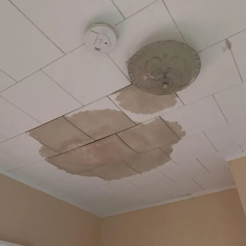 Ceiling Water Damage Repair in Carroll County, NH