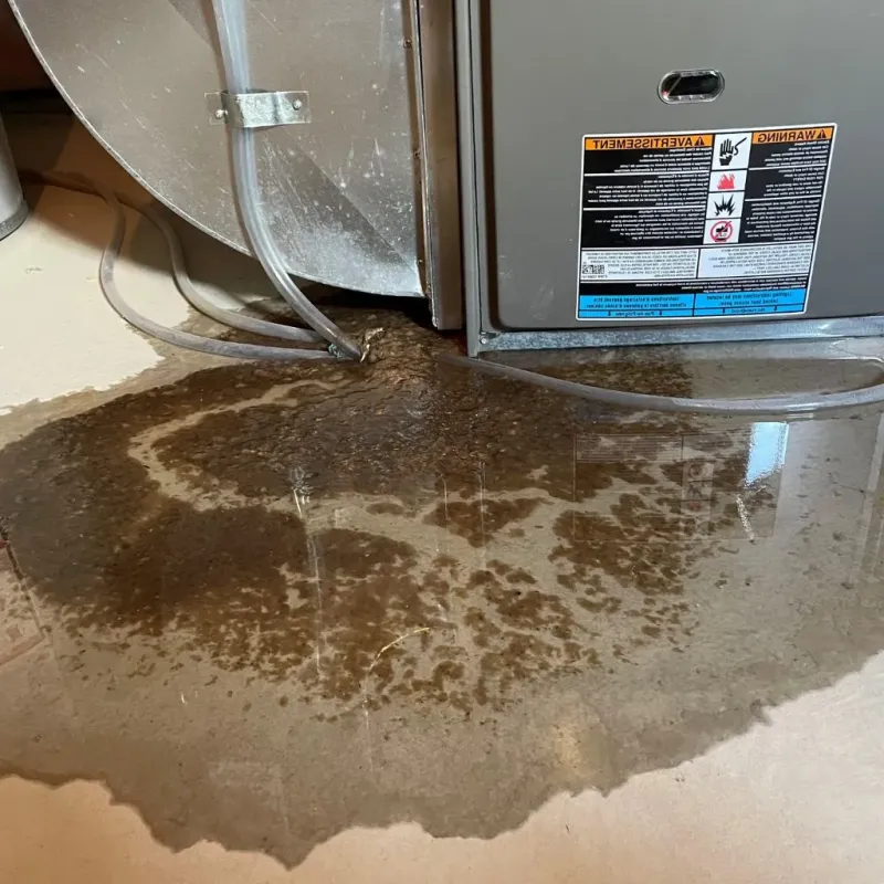 Pipe Burst and Leak Restoration in Carroll County, NH